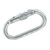 CS20 Steel Screw Karabiner