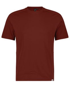 Dassy Fuji T-Shirt